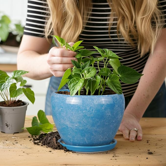 Ceramicfor 6 Inch Plant Pot - Image 7