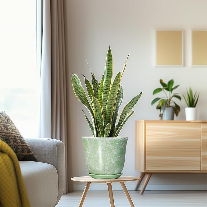 Ceramic Planter - Image 5