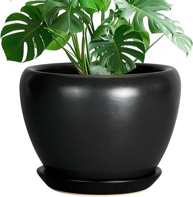 Ceramicfor Ceramic Pot for Plants by Ceramicfor
