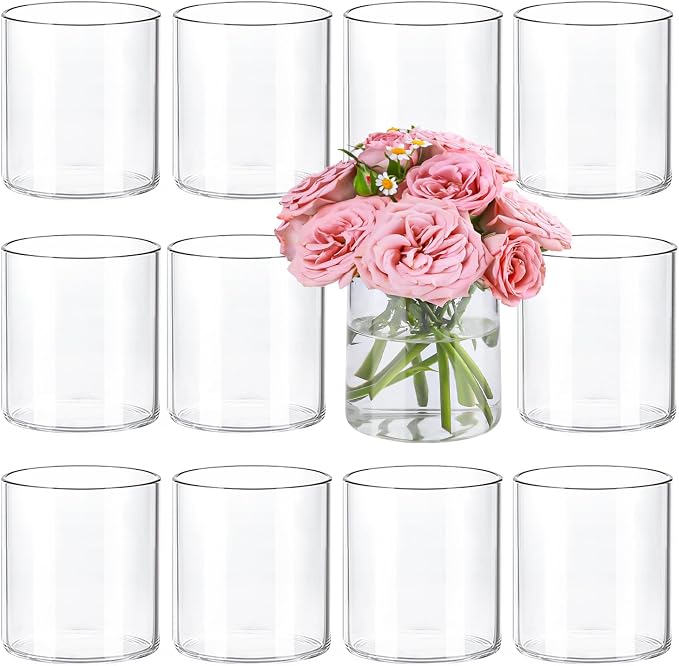 12pcs 4 Inch Clear Glass Cylinder Vases by TBWIND