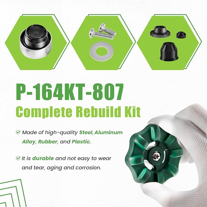 P-164KT-807 Rebuild Kit, Replace - Image 5