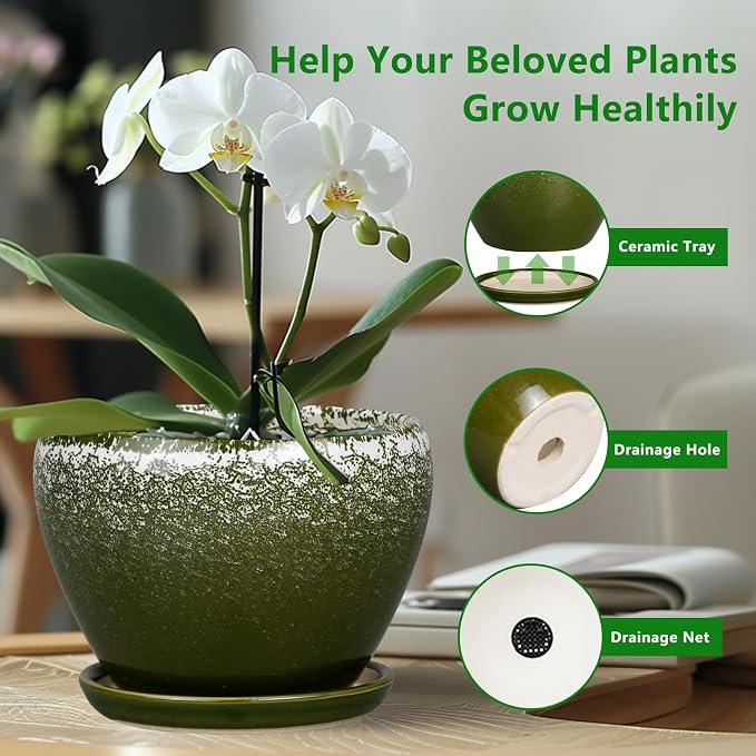 Ceramicfor 6 Inch Plant Pot - Image 6
