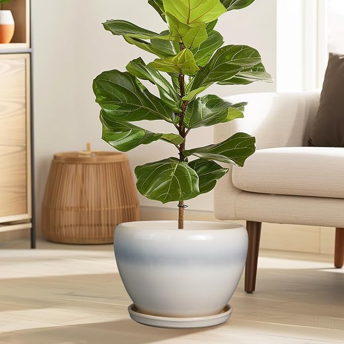 Ceramicfor 10 Inch Ceramic Planter Pot, Cream White | Large Plant Pot - Image 2
