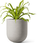 LE TAUCI 6 Inch Plant Pot, Ceramic Planter by LETAUCI