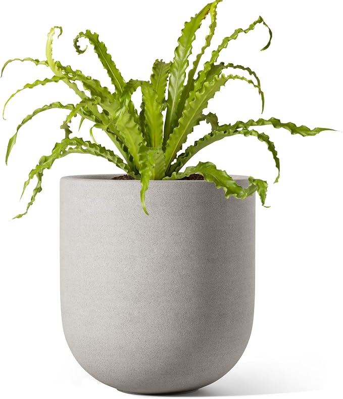LE TAUCI 6 Inch Plant Pot, Ceramic Planter by LETAUCI