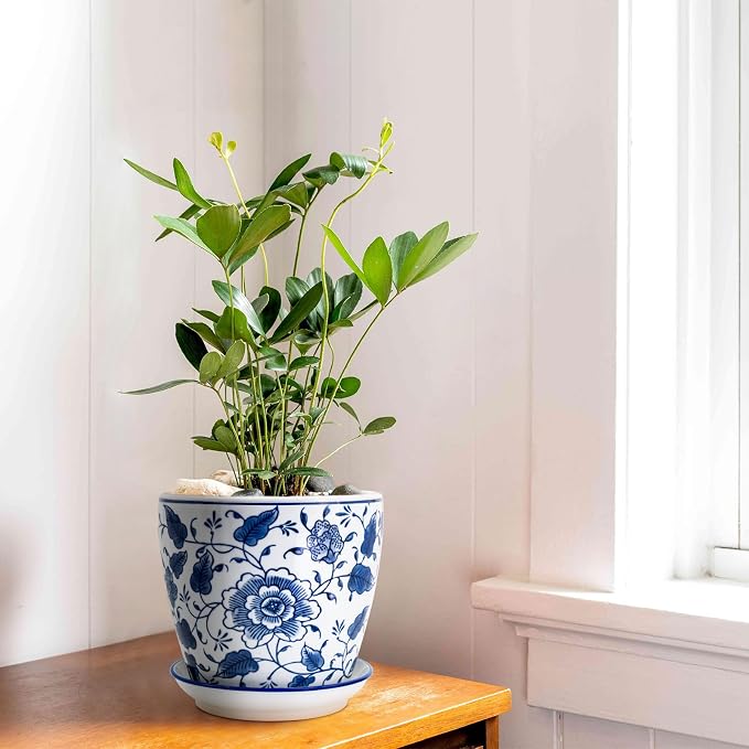 HakkaGirl 8 inch Ceramic Planters - Image 6