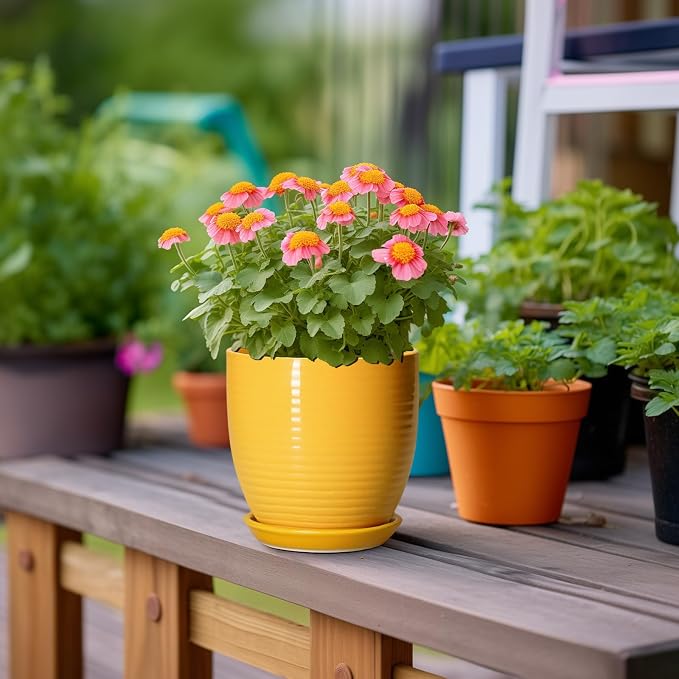 Ceramic Pots for Plants - Image 4