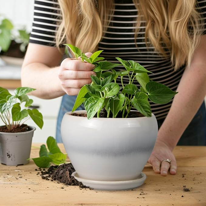 Ceramicfor Planter Pot 6 Inch - Image 6