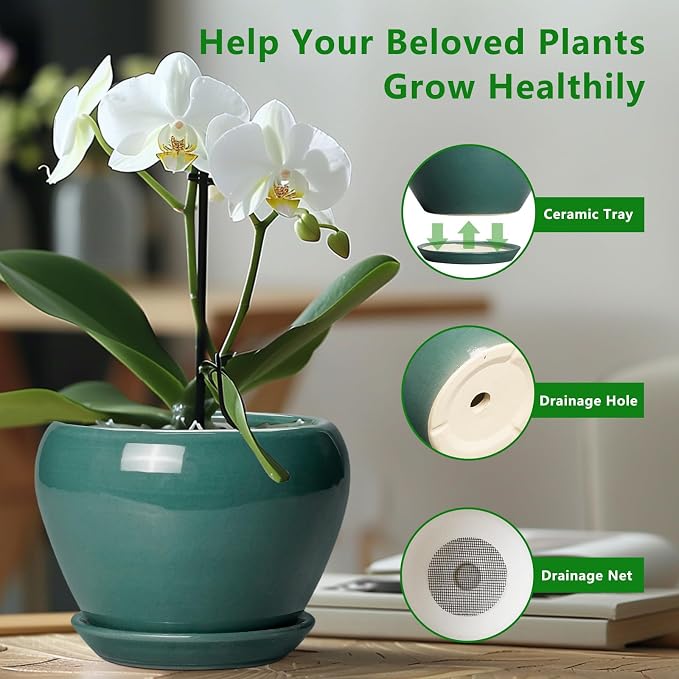 Ceramicfor 8 Inch Plant Pot - Image 6