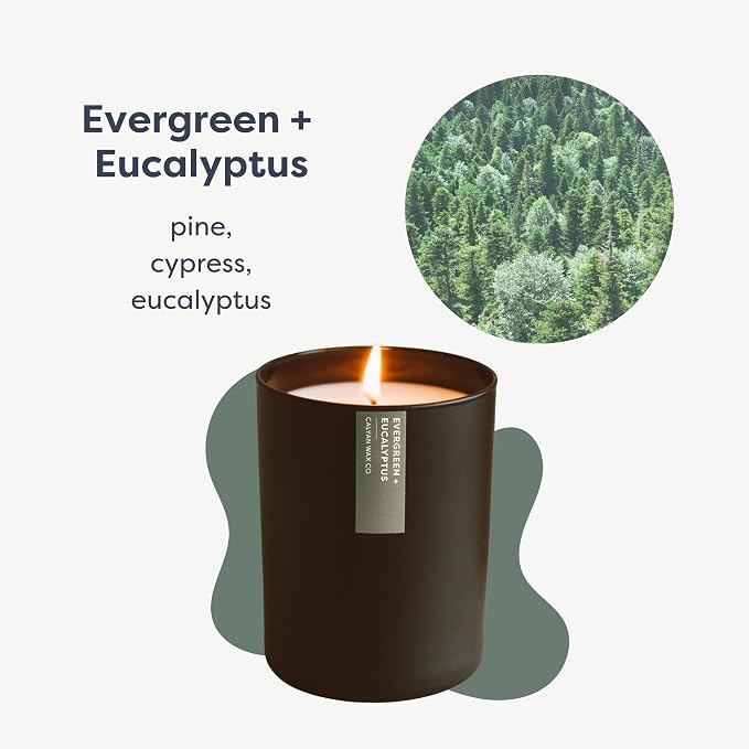 Evergreen & Eucalyptus Scented Candle - Image 2