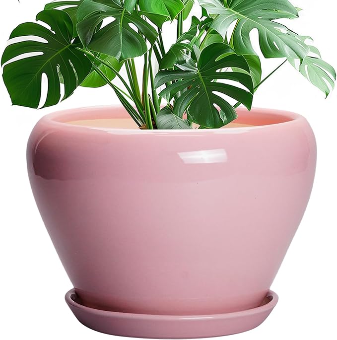 Ceramicfor 10 Inch Plant Pot by Ceramicfor