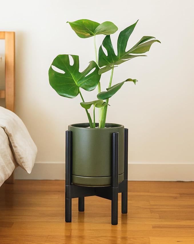 D'vine Dev Ceramic Pot with Ebony Wood Stand, 8 in, 55-B-M-J | Mid-Century - Image 4