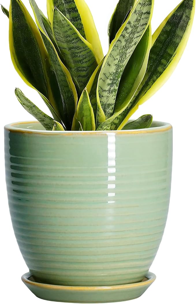 Ceramic Plant Pots by EPFamily