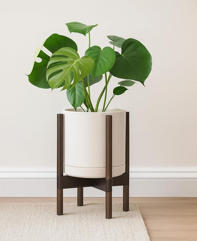 D'vine Dev Ceramic Pot with Walnut Wood Stand, 10 in, 55-B-X-8 | Mid-Century - Image 2