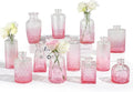 12 Pack Glass Bud Vases Mini Flower Vase Small Vintage Vases by RUCKAE