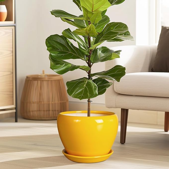 Ceramicfor 8 Inch Plant Pot - Image 2