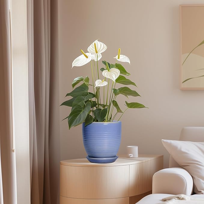 6 Inch Ceramic Pots for Plants - Image 7