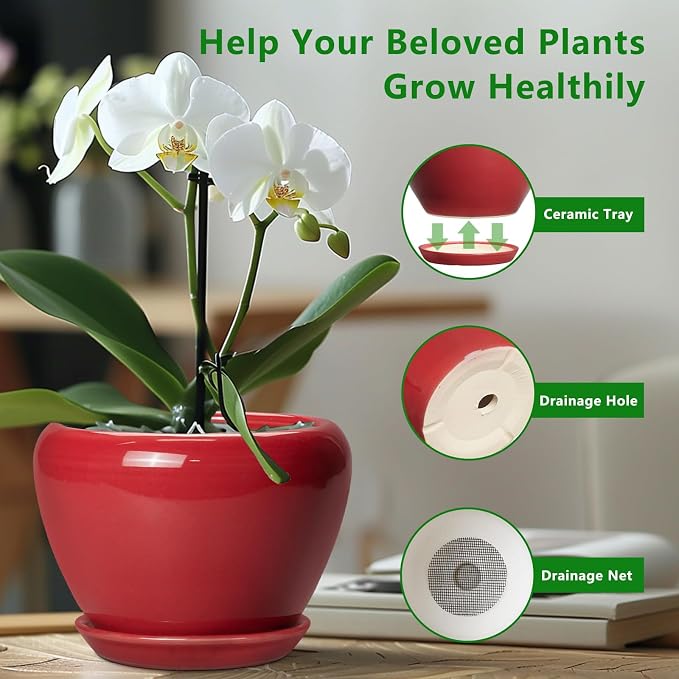 Ceramicfor 10 Inch Plant Pot, Ceramic Planter - Image 5