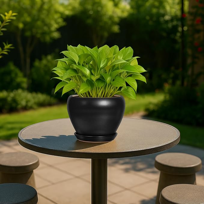 6 Inch Plant Pot - Image 2