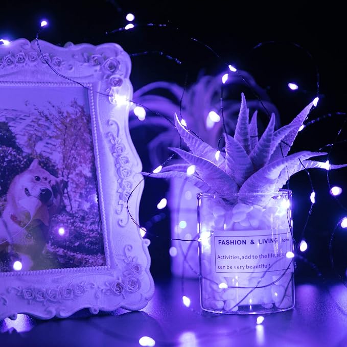 Brightown 24 Pack Fairy Lights Battery Operated, Halloween String Lights - Image 4