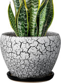 Ceramicfor Ceramic Plant Pot 8 Inch by Ceramicfor