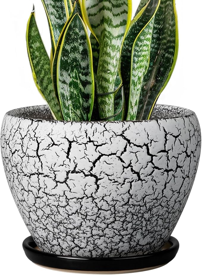 Ceramicfor Ceramic Plant Pot 8 Inch by Ceramicfor