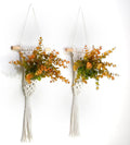 Macrame Wall Hanging Plants by UBOSU