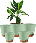 Utopia Home Self Watering Pots for Indoor Plants 6.8"/6.4"/5.9"/5.5"/4.9" Set by UTOPIAHOME