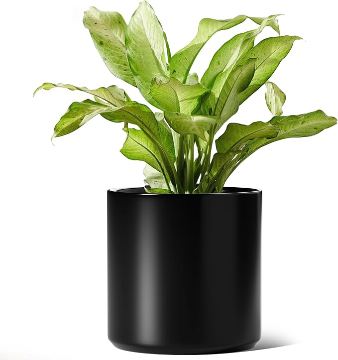 LE TAUCI 12 Inch Pot for Plants, Ceramic Planters for Indoor Plants, - Image 6