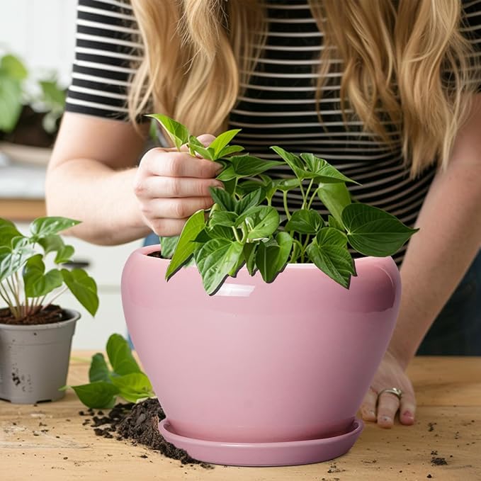 Ceramicfor Ceramic Modern Glaze Succulent Planter Pot - Image 5
