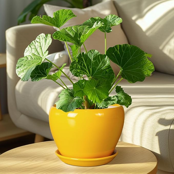 Ceramicfor 8 Inch Plant Pot - Image 7