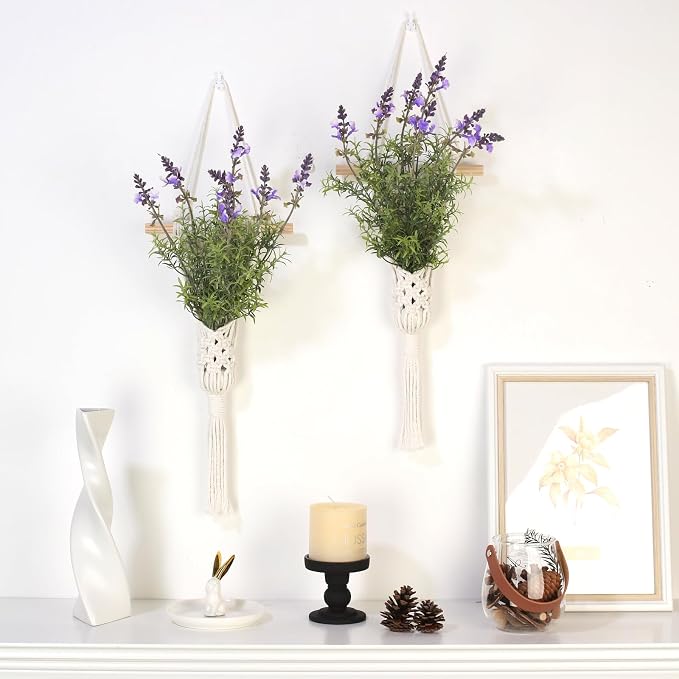 Macrame Wall Hanging Plant - Image 2