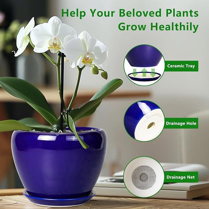 Ceramicfor Ceramic Planter 10 Inch, Indoor Plant Pot - Image 6