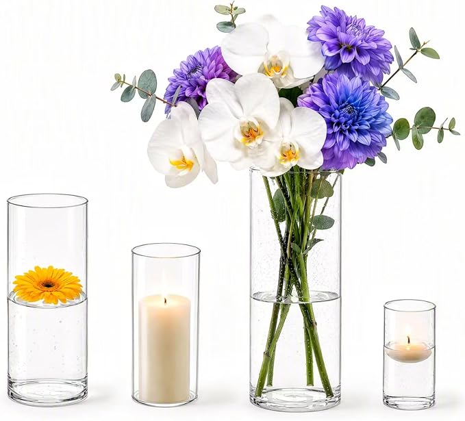 Sandraheer 4 Pack Clear Glass Cylinder Vases by Sandraheer