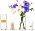 Sandraheer 4 Pack Clear Glass Cylinder Vases by Sandraheer