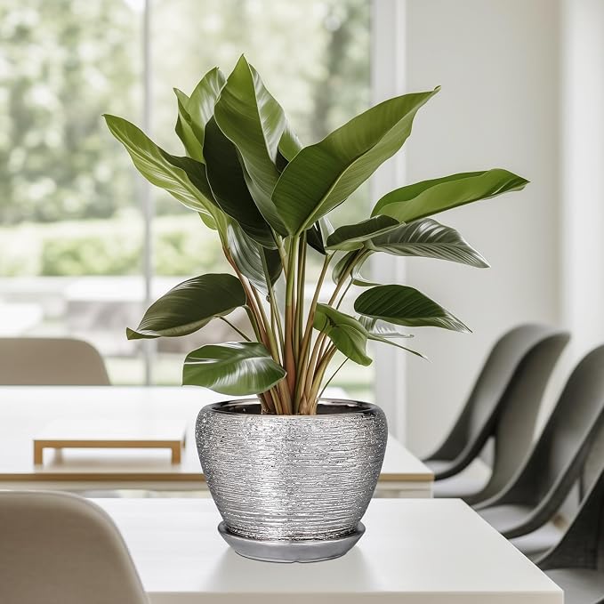 Ceramicfor Ceramic Planter - Image 8
