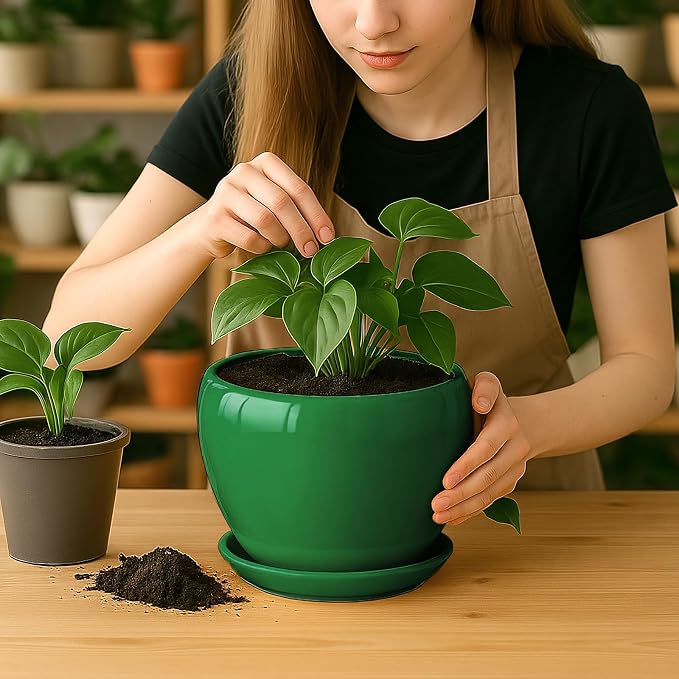 Deep Dream 8 Inch Plant Pots- Ceramic Pots - Image 6