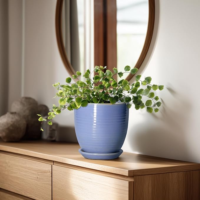 6 Inch Ceramic Pots for Plants - Image 3
