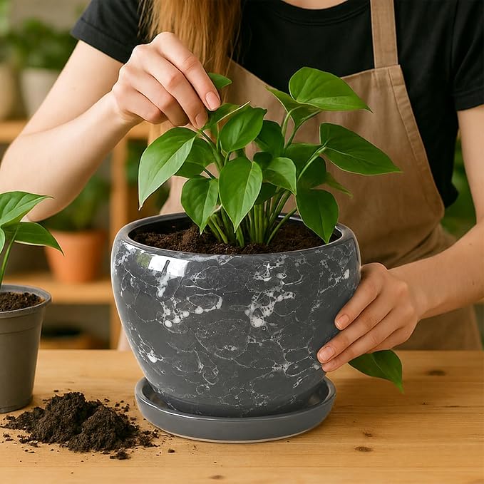Deep Dream 8 Inch Plant Pots- Ceramic Pots - Image 5