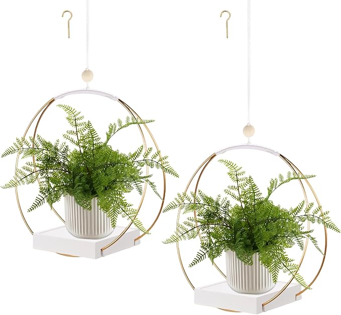 hismocal 2 Pack Hanging Planter Holder by hismocal