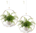 hismocal 2 Pack Hanging Planter Holder by hismocal