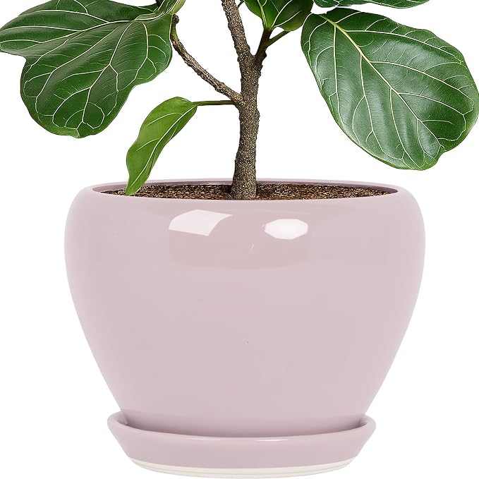 Deep Dream 10 Inch Plant Pot- Ceramic Planter Pot Round Plant Pots by DeepDream