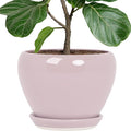 Deep Dream 10 Inch Plant Pot- Ceramic Planter Pot Round Plant Pots by DeepDream