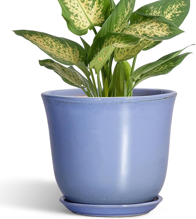 Ceramic Plant Pots, 5.6 Inch Plant Pot by SUNPOTFOR