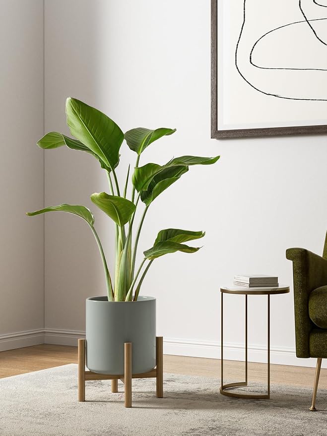 LE TAUCI 10+8+6 Inch Ceramic Pots - Image 3