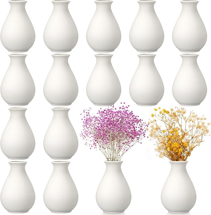 Tioncy 15 Pack White Ceramic Bud Vases Bulk Boho Small Flower Vase White by Tioncy