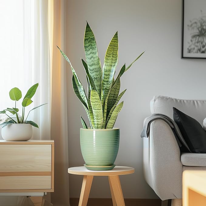 Ceramic Plant Pots - Image 6