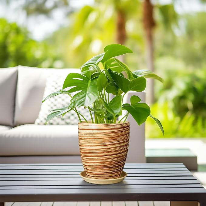 8 Inch Plant Pot, Ceramic Planter - Image 6