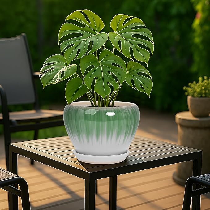 Deep Dream 8 Inch Plant Pots- Ceramic Pots - Image 3