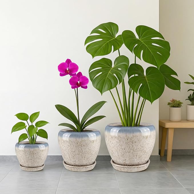 Deep Dream 6 Inch Plant Pots- Ceramic Planter Pot - Image 5